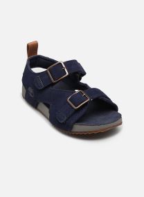 Badslippers CASTLE ISLAND BACKSTRAP SANDAL C jongens grijs