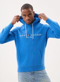 Hoodies Tommy Logo Hoodie heren blauw