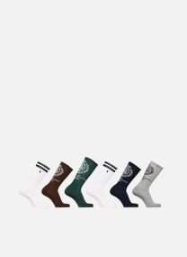Socken 6 paires de chaussettes sport coton Homm herren mehrfarbig Polo Ralph Lauren Socken 6 paires de chaussettes sport coton Homm herren mehrfarbig BROWN/WHITE/GRN/NV/WHT/GRY