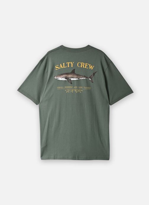 Salty Crew T-Shirts Bruce Premium S/S Tee herren grün