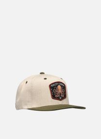 Kappen Tako Club Snapback herren beige Salty Crew Kappen Tako Club Snapback herren beige NATURAL/OLIVE