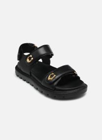 Sandales Brynn Leather Sandal N femme noir
