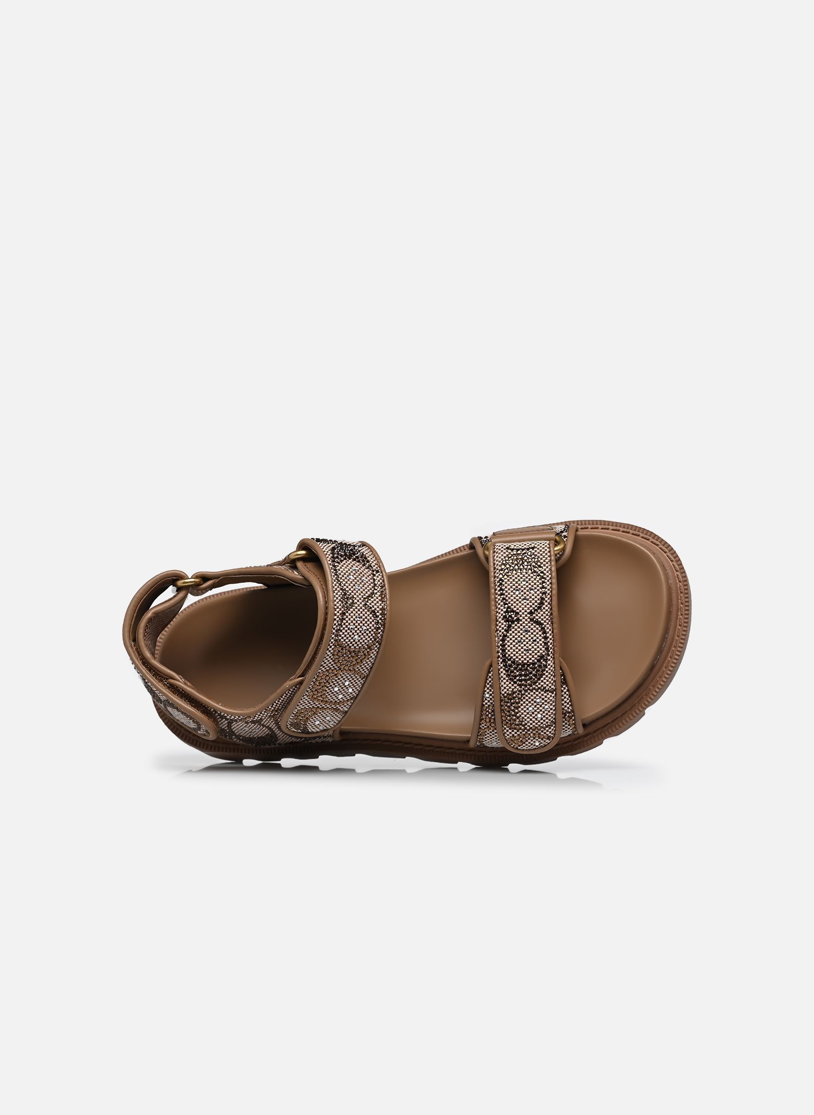 Sandales Brynn Crystal Signature Sandal femme marron Coach Sandales Brynn Crystal Signature Sandal femme marron TAN