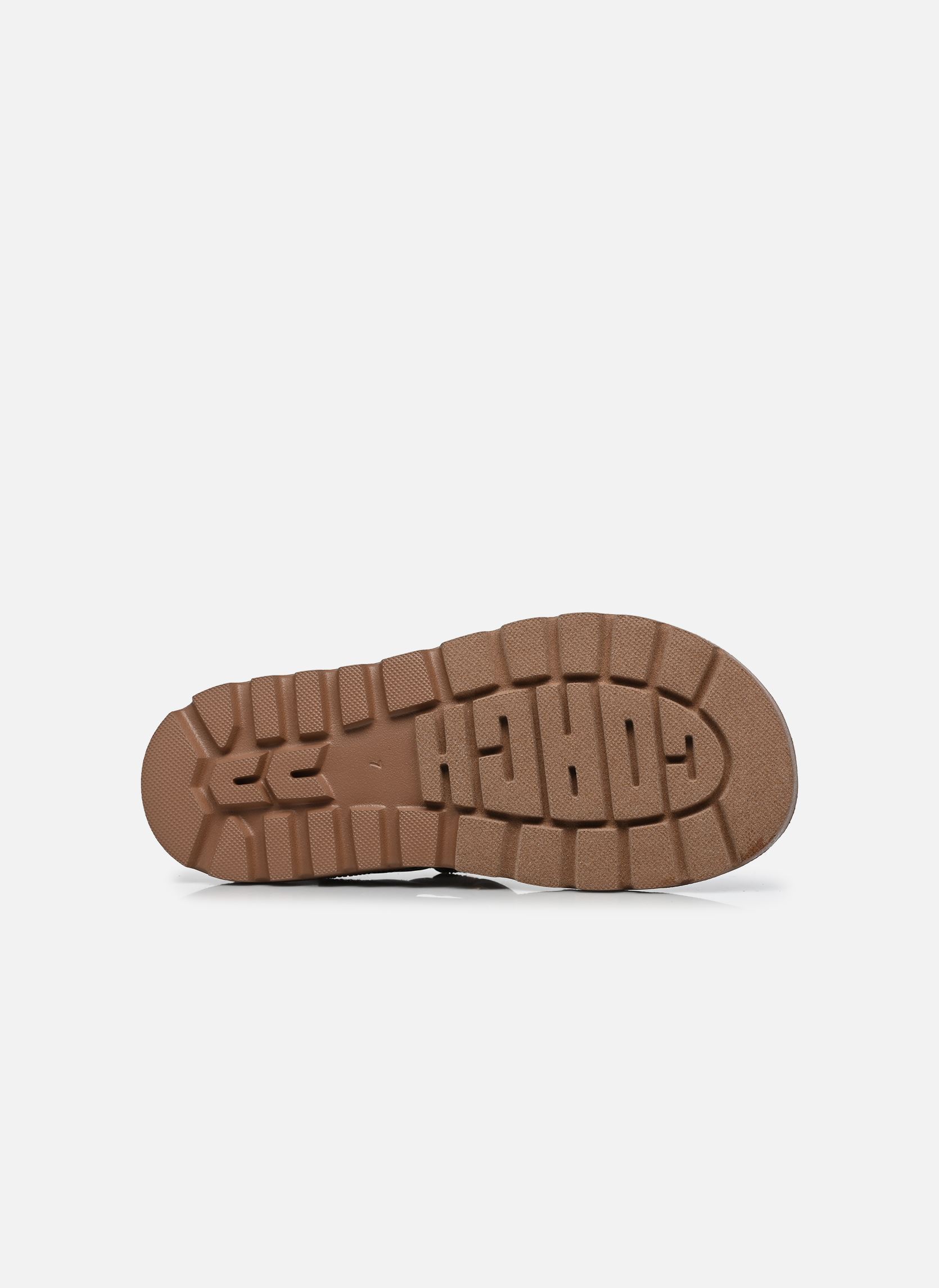Sandales Brynn Crystal Signature Sandal femme marron Coach Sandales Brynn Crystal Signature Sandal femme marron TAN