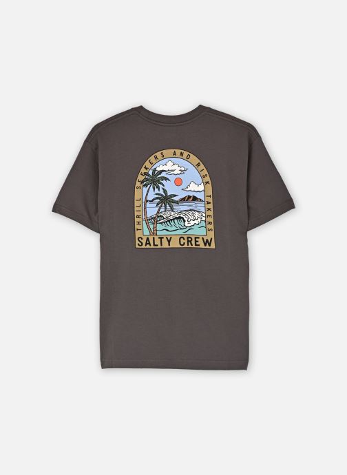Salty Crew Tee-shirts Archway Boys Ss Tee garçon gris