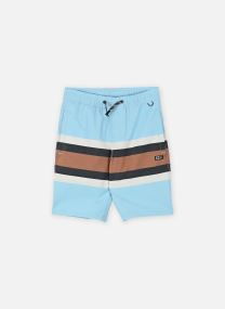 Shorts de bain Crew Boys Stripe Volley garçon bleu Salty Crew Shorts de bain Crew Boys Stripe Volley garçon bleu CLEAR SKY