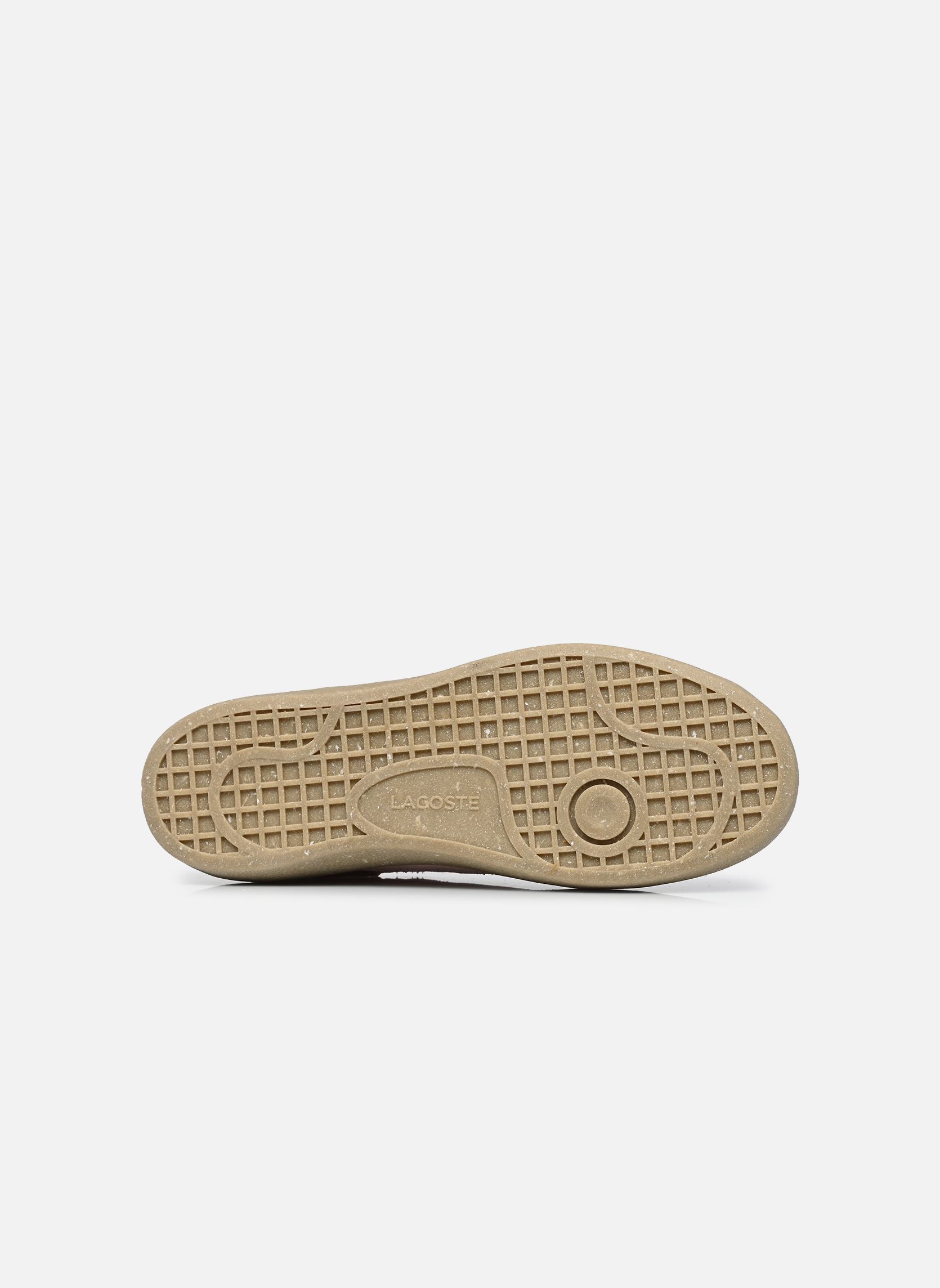 Baskets basses BASESHOT LITE femme rose Lacoste Baskets basses BASESHOT LITE femme rose LT PNK/LT TAN