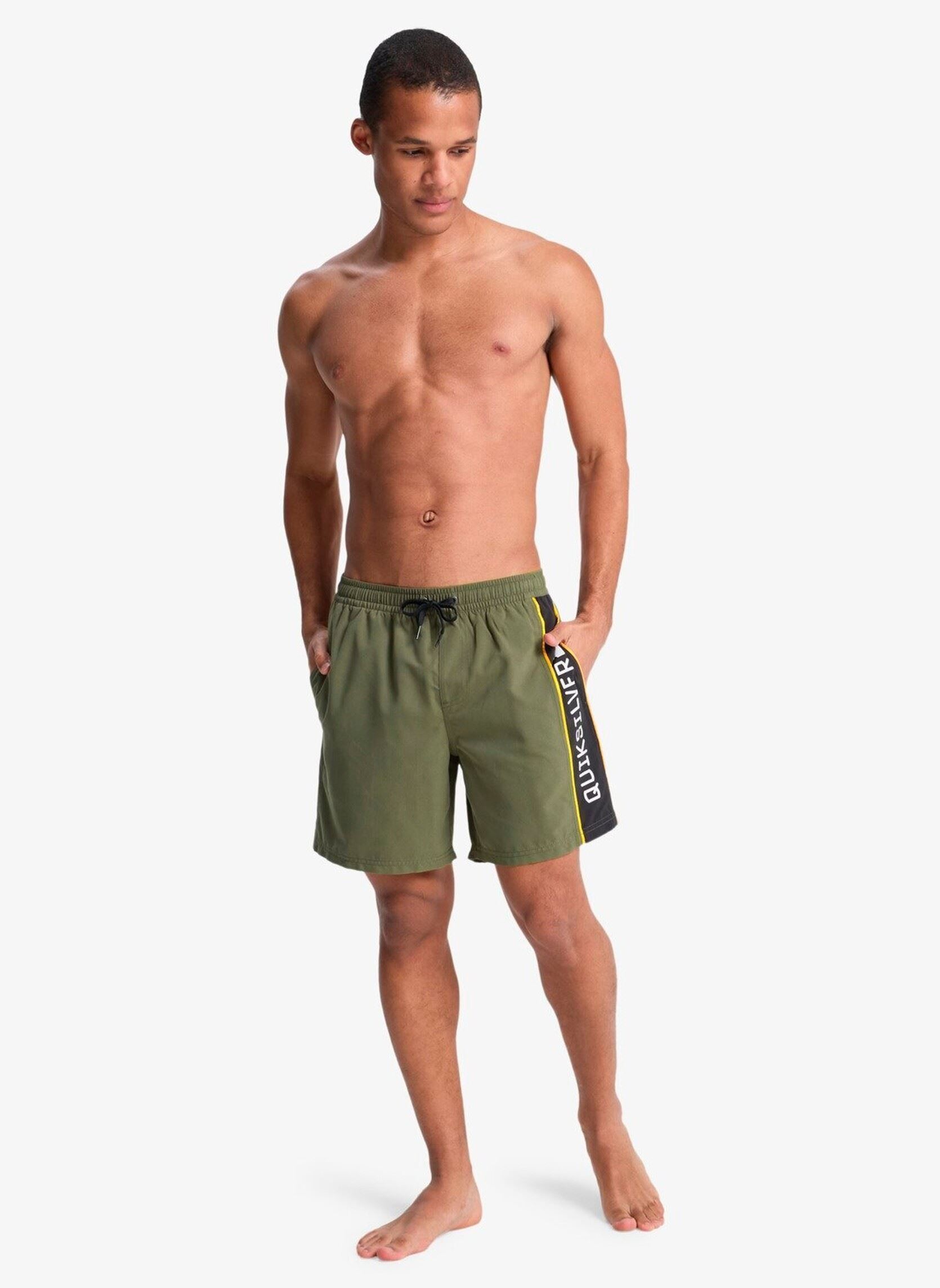 Badeshorts Everyday Clicker Volley 17 herren grün Quiksilver Badeshorts Everyday Clicker Volley 17 herren grün GRAPE LEAF
