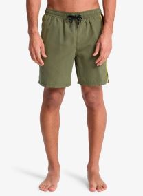 Badeshorts Everyday Clicker Volley 17 herren grün Quiksilver Badeshorts Everyday Clicker Volley 17 herren grün GRAPE LEAF