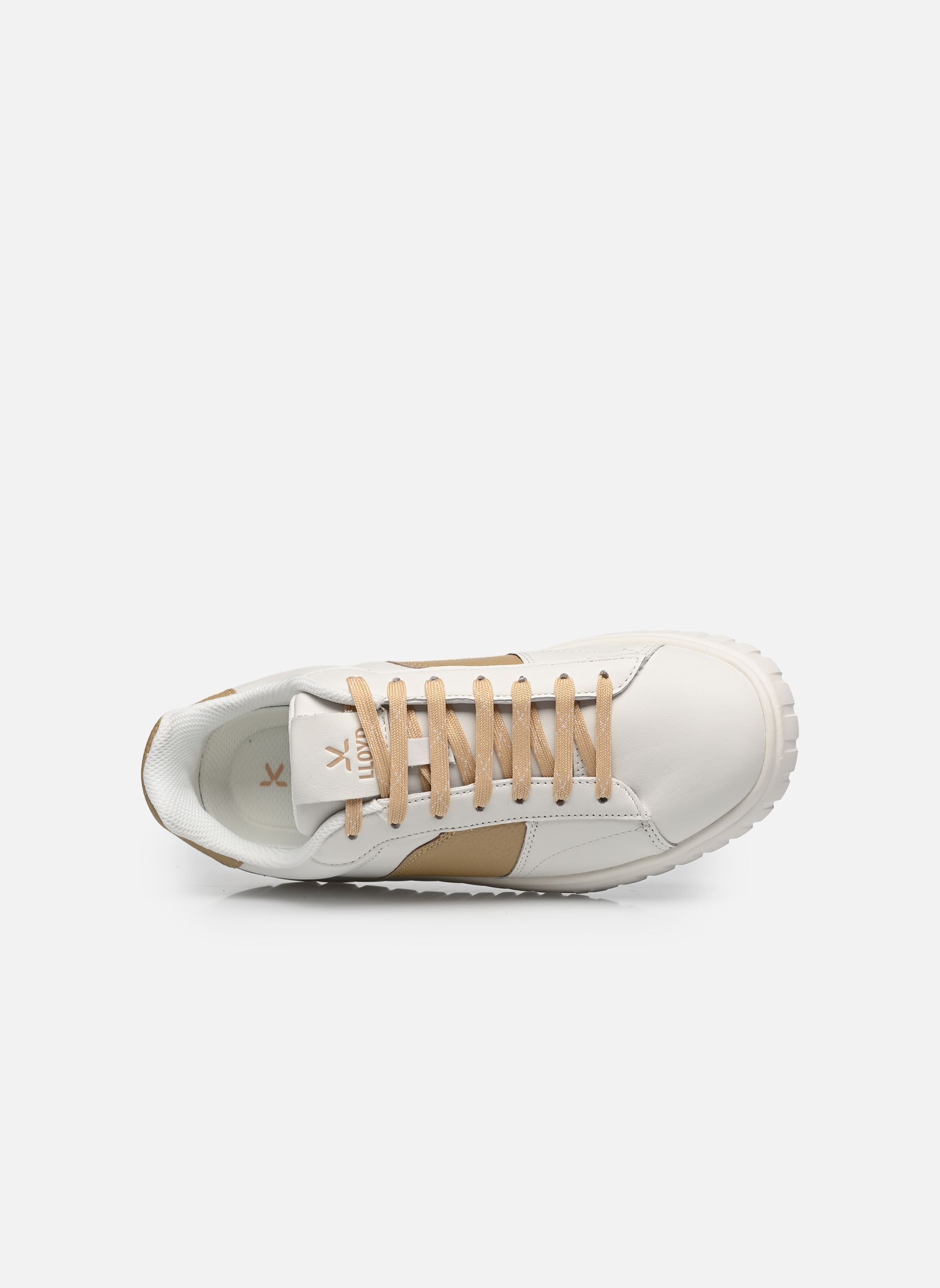 Niedrige Sneaker Riccardo W damen weiß Lloyd Niedrige Sneaker Riccardo W damen weiß WHITE/BEIGE