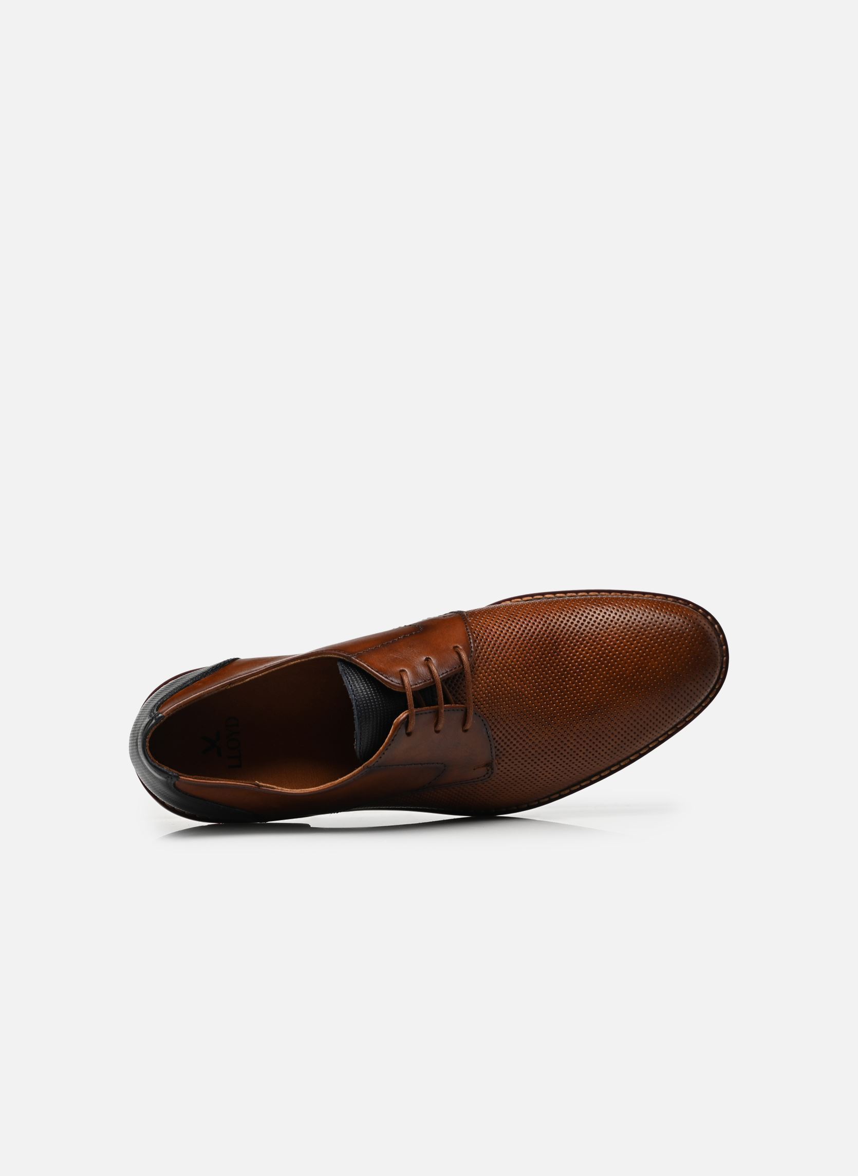 Derbies Jerry homme marron Lloyd Derbies Jerry homme marron Brown/navy
