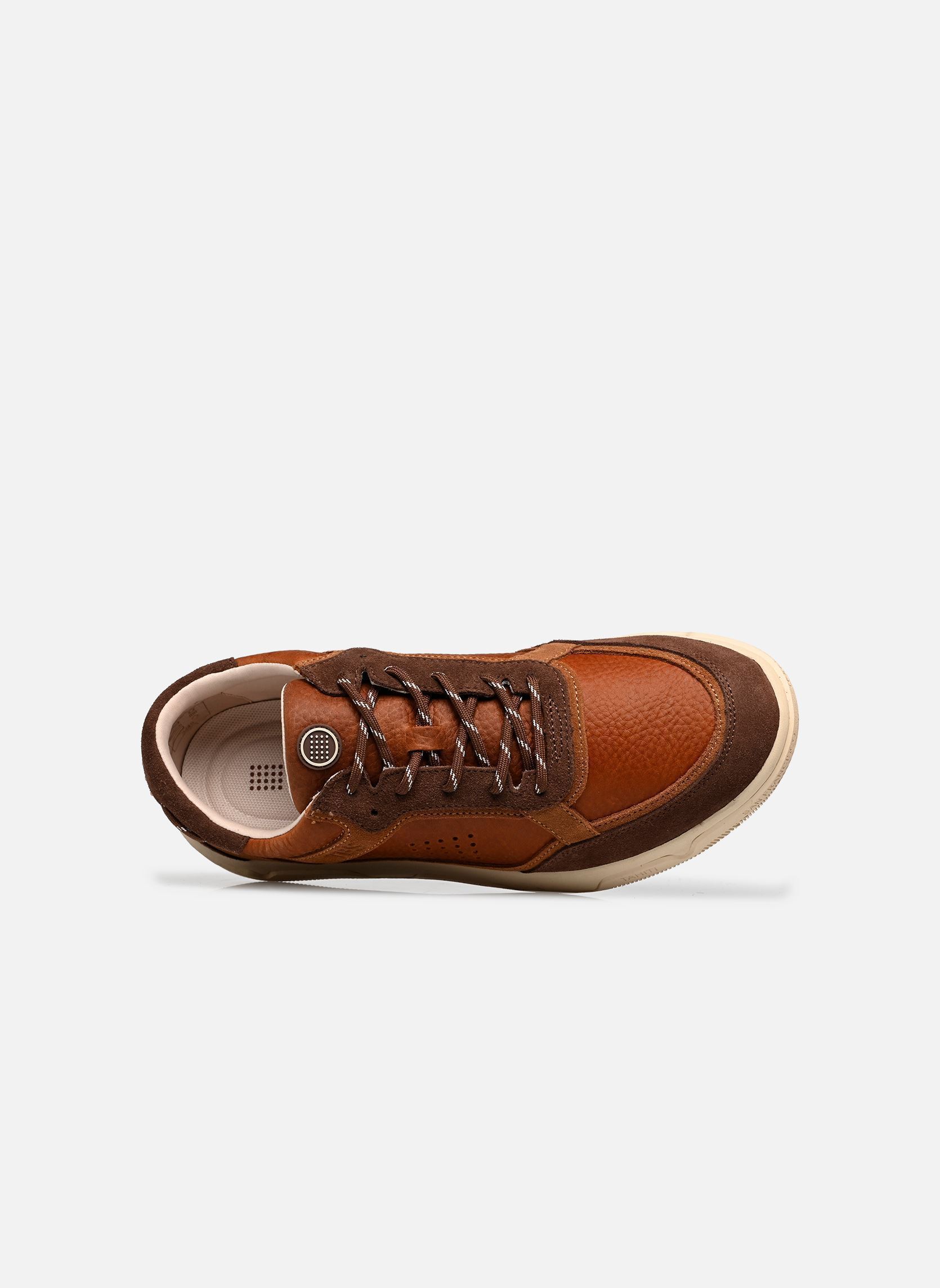 Niedrige Sneaker GUYLHEM herren braun TBS Niedrige Sneaker GUYLHEM herren braun CAMAIEU MARRON