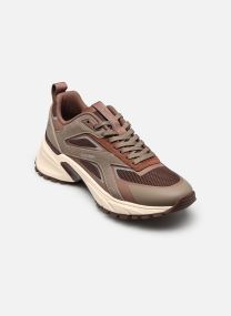Baskets basses HIKE RUNNER CK STRIP femme marron Calvin Klein Baskets basses HIKE RUNNER CK STRIP femme marron ROASTED NUTMEG/NUTMEG/LIGHT CA