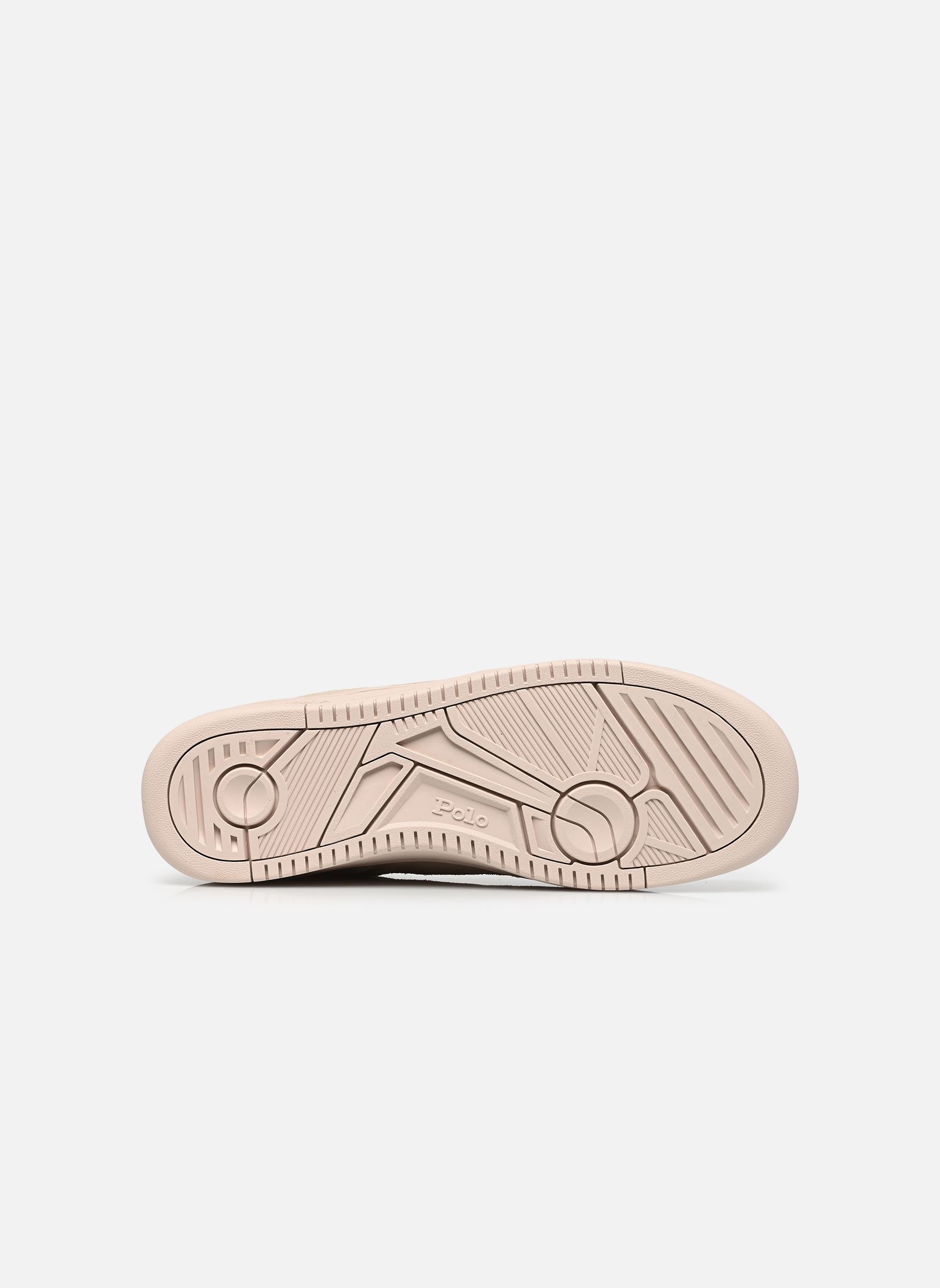 Baskets basses MASTER COURT RIB homme beige Polo Ralph Lauren Baskets basses MASTER COURT RIB homme beige TONAL MILKSHAKE