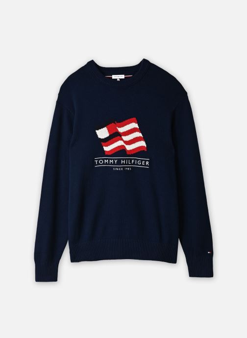 Tommy Hilfiger Pulls Rwb Crew Neck Sweater homme marine