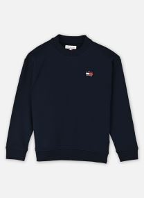 Sweats à capuche Flag Heritage Cn Swe KS0KS00757C1G garçon bleu