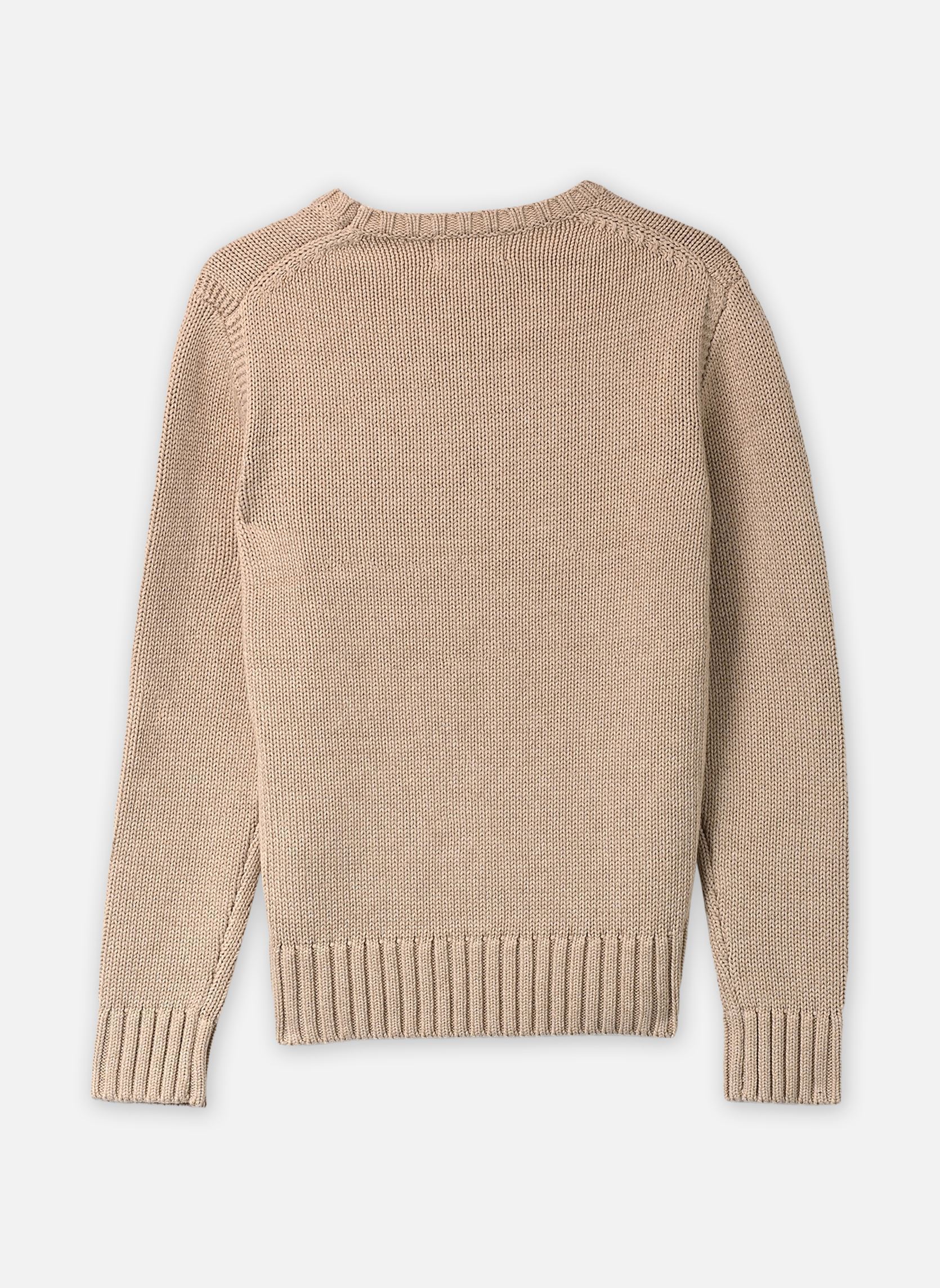 Pulls Pull drapeau emblématique 323B18575 garçon beige Polo Ralph Lauren Pulls Pull drapeau emblématique 323B18575 garçon beige OATMEAL MULTI
