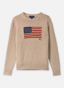 Pulls Pull drapeau emblématique 323B18575 garçon beige Polo Ralph Lauren Pulls Pull drapeau emblématique 323B18575 garçon beige OATMEAL MULTI