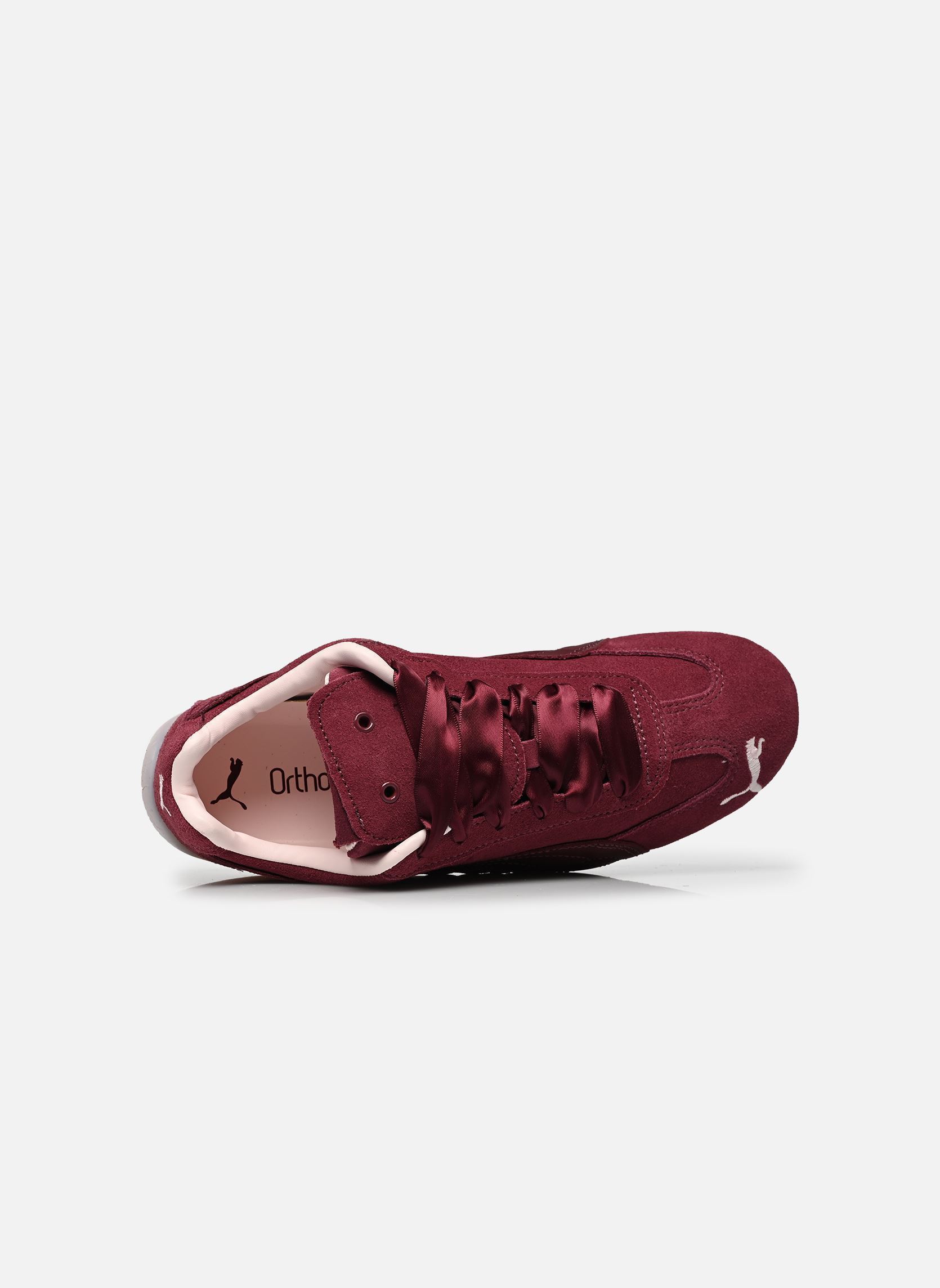 Lage sneakers Speedcat Premium Balletcore Wns dames bordeaux Puma Lage sneakers Speedcat Premium Balletcore Wns dames bordeaux RUBY SHIMMER-JASMINE FLOWER