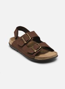 Sandales à scratch Aberdeen Man Sandal Comfort homme marron Scholl Sandales à scratch Aberdeen Man Sandal Comfort homme marron Dark Brown
