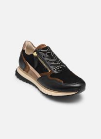 Baskets 6029.01 femme marron Gabor Baskets 6029.01 femme marron BLACK/WHISKY(GOLD)