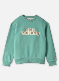 Sweatshirts L00138 jungen grün