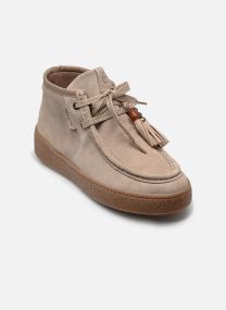 Enkellaarzen en boots 25406-47 dames bruin