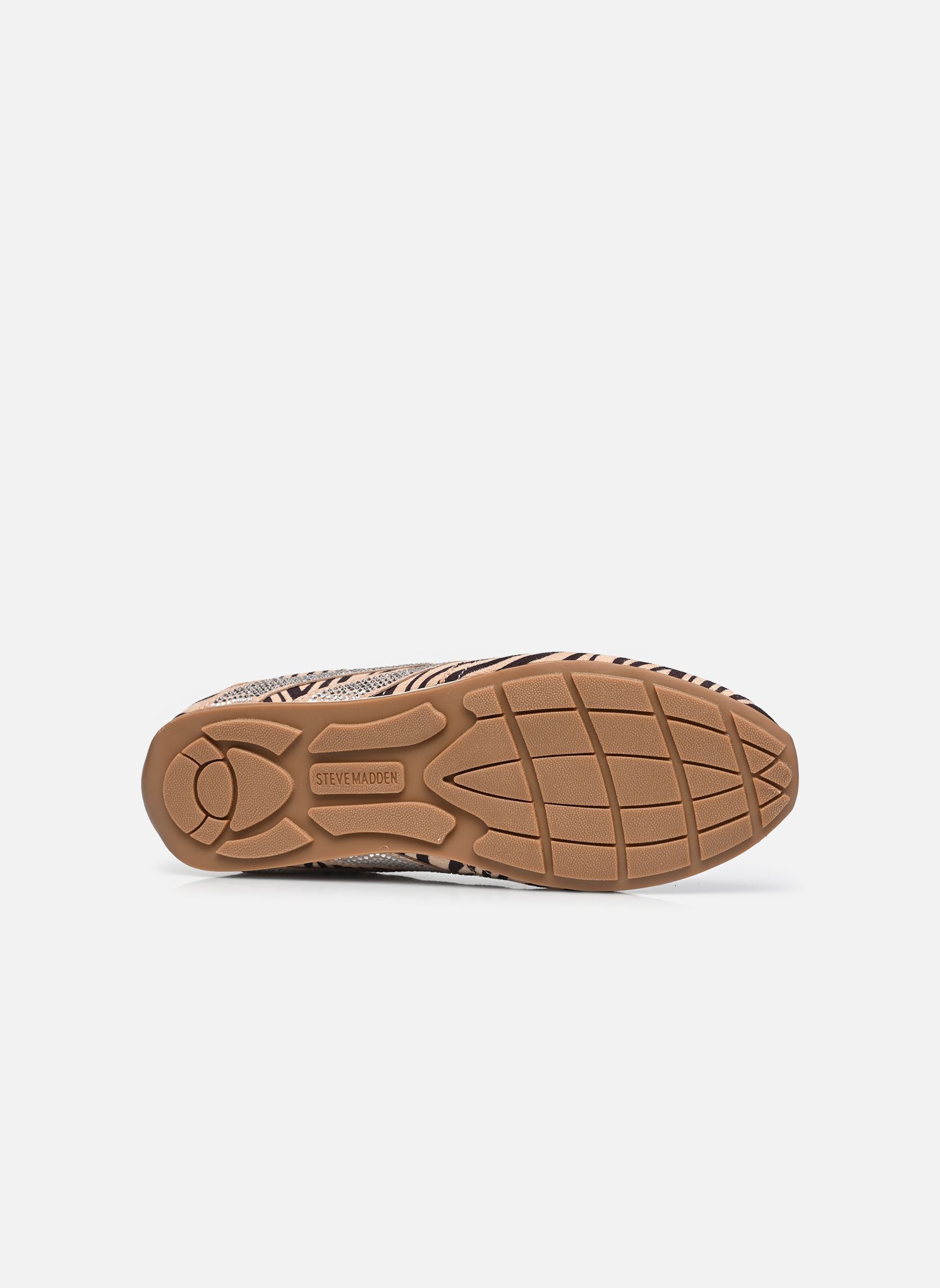 Baskets basses Abbi-Smr femme marron Steve Madden Baskets basses Abbi-Smr femme marron TAUPE ZEBRA