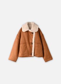 Vestes et manteaux Apollo femme camel
