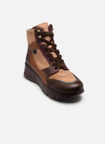 Enkellaarzen en boots MONTANA-I26 dames bruin