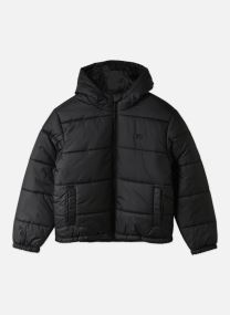 Gewatteerde jassen Hillgate Puffer BY jongens zwart