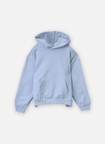 Sweatshirts Salton Pullover femme bleu