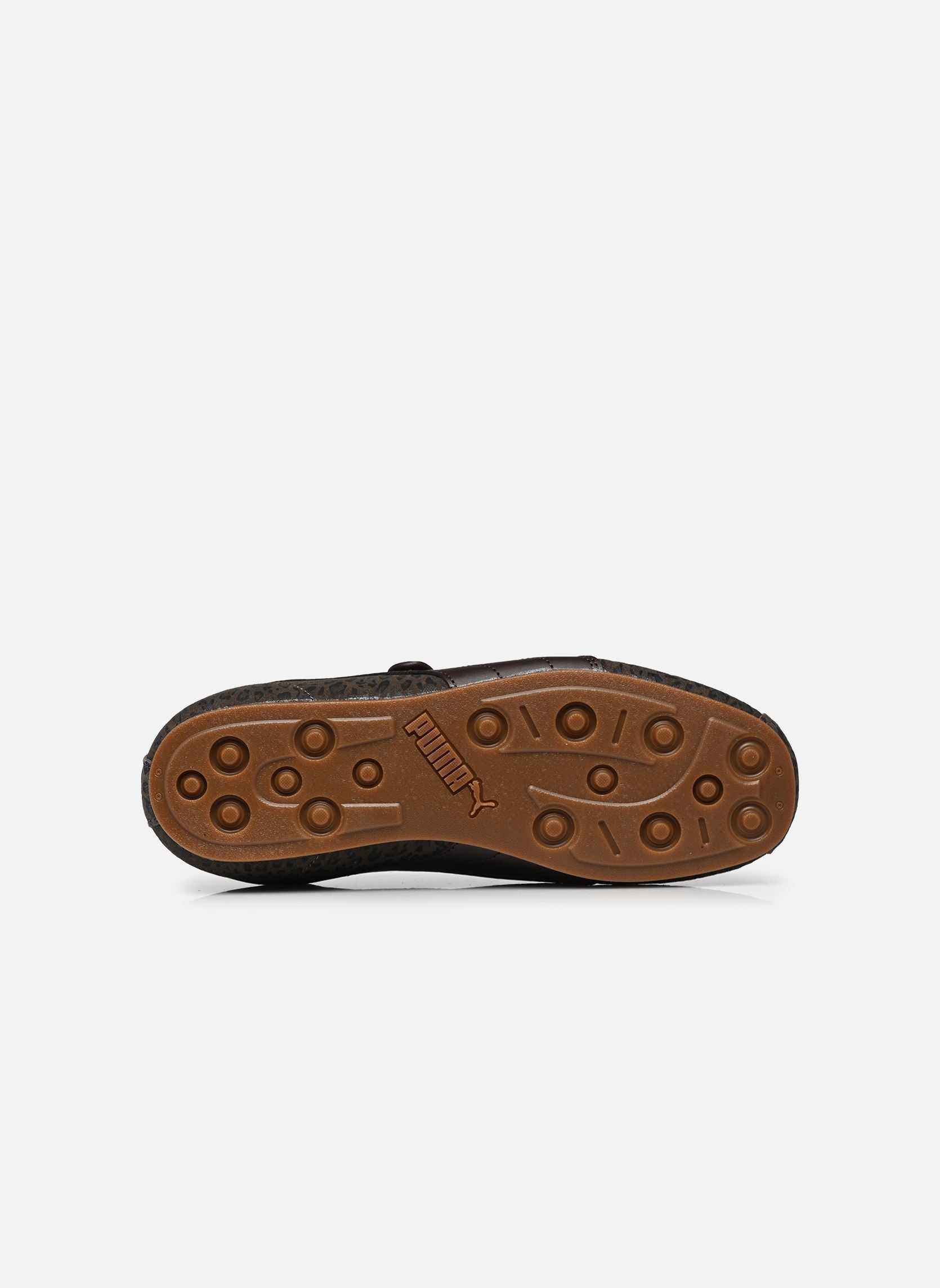 Baskets Puma Tacklette Cat Wns femme marron Puma Baskets Puma Tacklette Cat Wns femme marron MATTE BRONZE-GUM