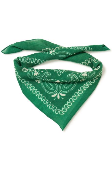 Ichi Echarpes et foulards Iamary Sc femme vert