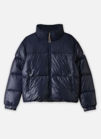 Doudounes GOLDIN K marine Pyrenex Doudounes GOLDIN K marine AMIRAL