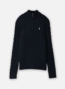 Pulls Lsdriverhzpp-Long Sleeve-Pullover 710810 homme marine Polo Ralph Lauren Pulls Lsdriverhzpp-Long Sleeve-Pullover 710810 homme marine HUNTER NAVY W/ C8135 PP