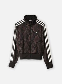 Vestes de survêtement STN FB TT femme marron adidas originals Vestes de survêtement STN FB TT femme marron EARSTR/AUCO