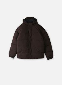 Gewatteerde jassen Dwr Synthetic Puffer Jacket heren bruin Timberland Gewatteerde jassen Dwr Synthetic Puffer Jacket heren bruin MOLE