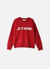 Pullover Young Ladies Knitted Sweater-BTL104EH damen rot