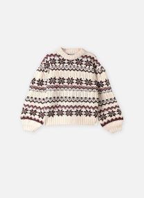 Pulls Ladies Knitted Sweater-BT220EH femme multicolore