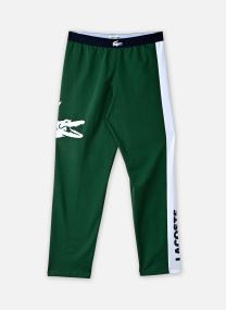 Bas de pyjamas Pantalon de pyjama 3H9471 homme vert