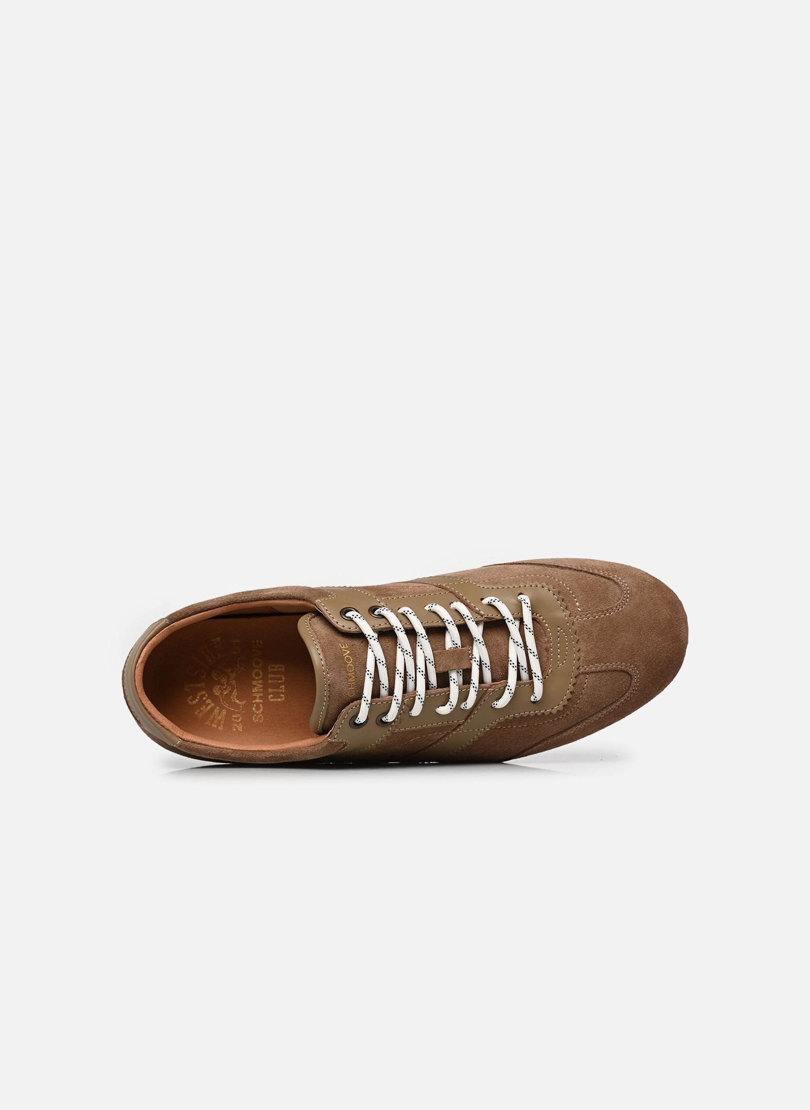 Baskets Terry Sneaker M homme beige Schmoove Baskets Terry Sneaker M homme beige TAUPE/TAUPE