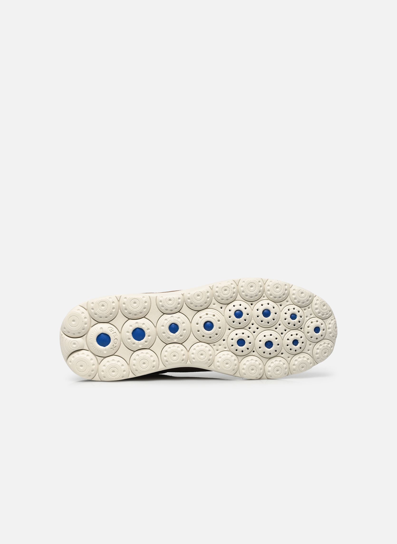 Sneaker D SPHERICA PLUS A FAST IN damen braun Geox Sneaker D SPHERICA PLUS A FAST IN damen braun TAUPE