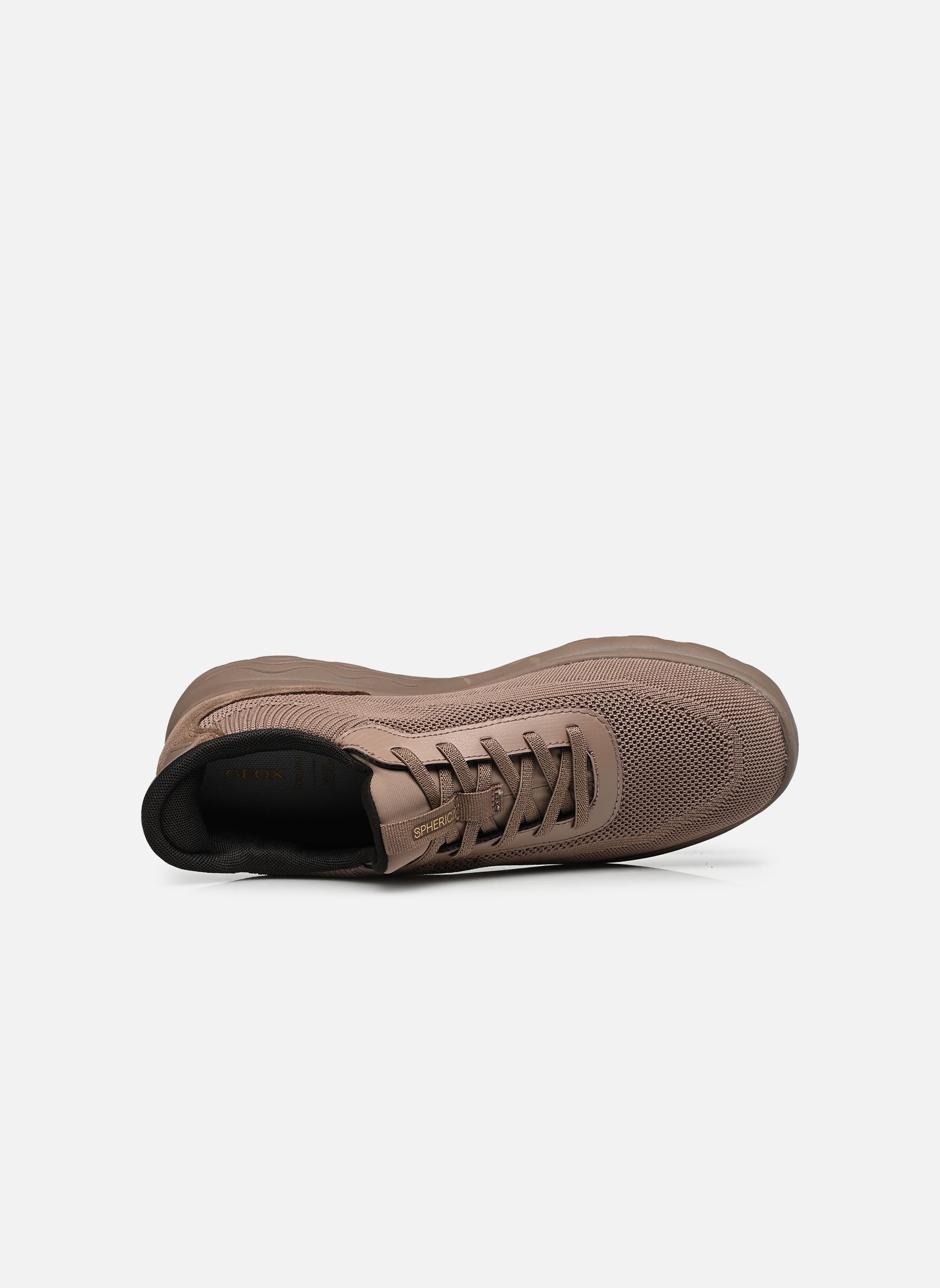 Baskets D SPHERICA PLUS A FAST IN femme marron Geox Baskets D SPHERICA PLUS A FAST IN femme marron TAUPE