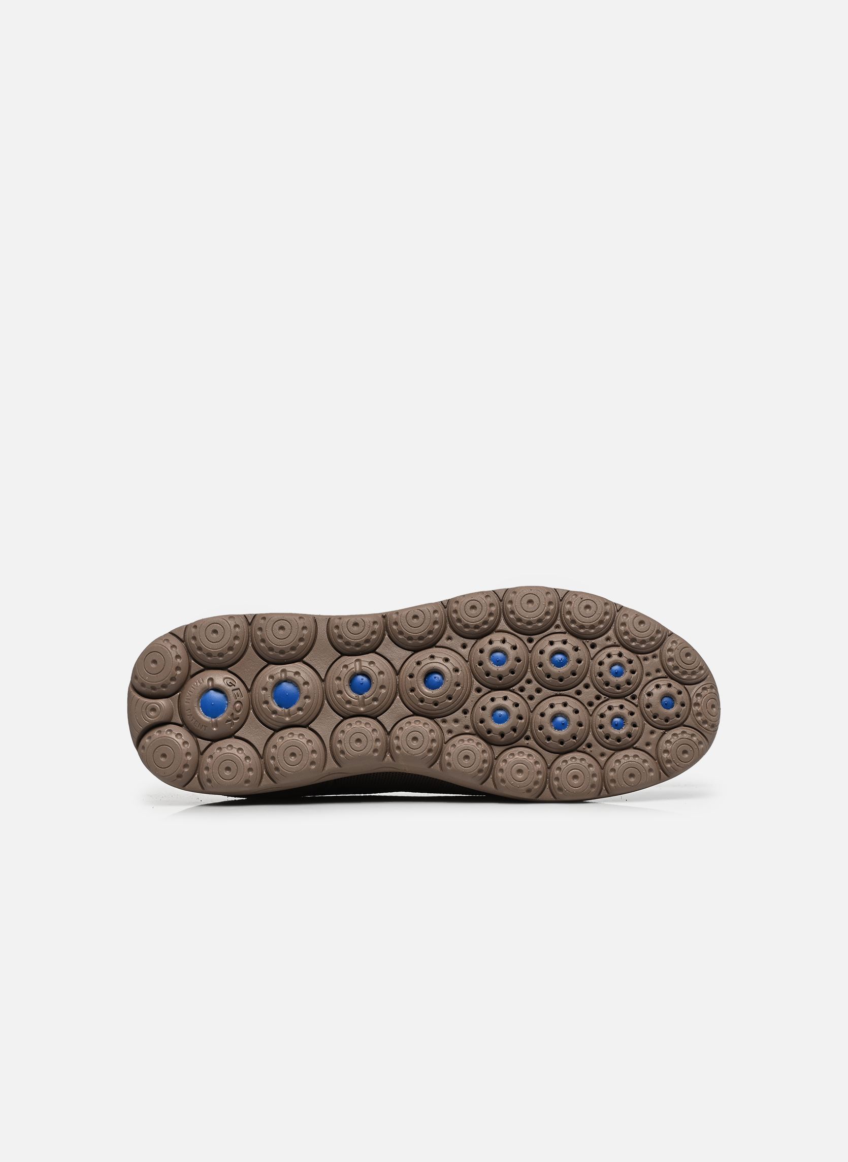 Baskets D SPHERICA PLUS A FAST IN femme marron Geox Baskets D SPHERICA PLUS A FAST IN femme marron TAUPE