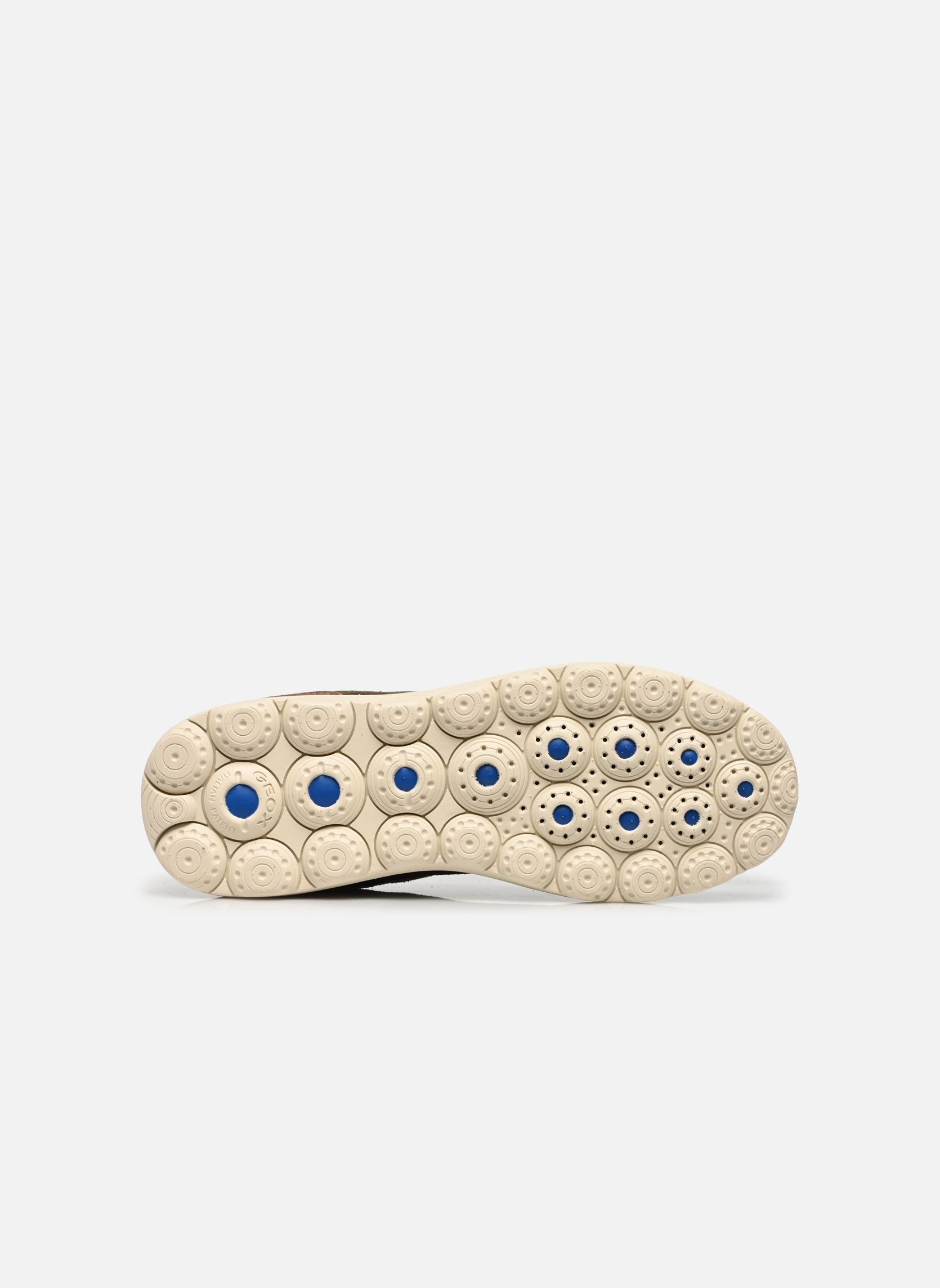 Baskets D SPHERICA PLUS B FAST IN femme vert Geox Baskets D SPHERICA PLUS B FAST IN femme vert SAGE/MILITARY