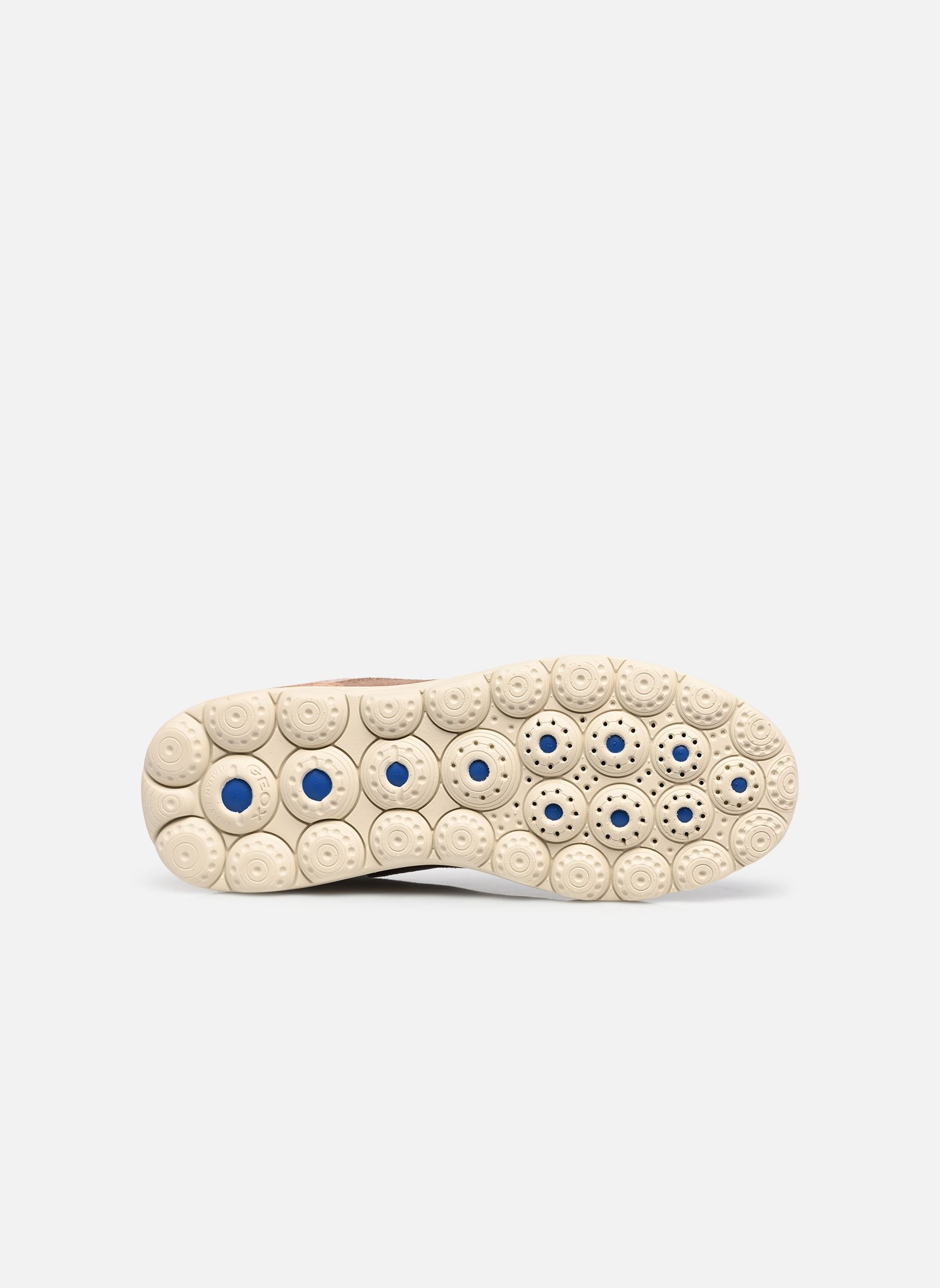 Sneaker D SPHERICA PLUS B FAST IN damen braun Geox Sneaker D SPHERICA PLUS B FAST IN damen braun BEIGE/LIGHT BROWN