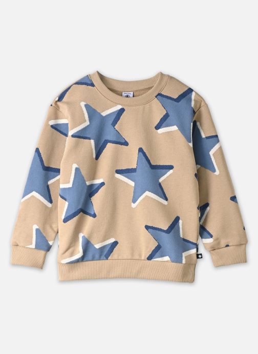 Petit Bateau Sweatshirts SWEATSHIRT-A0GQU01 jungen beige