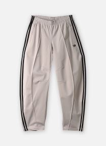 Trainingsbroeken FIREBIRD BARREL TP dames beige