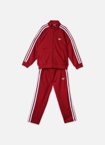 Joggingbroeken FIREBIRD TS rood adidas originals Joggingbroeken FIREBIRD TS rood team victory red
